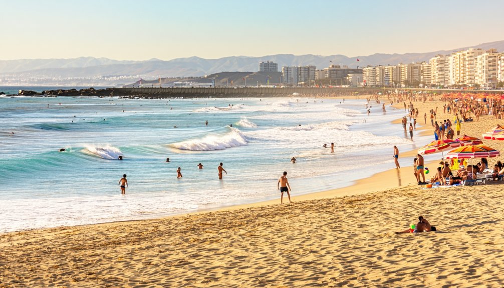 activities and attractions guide