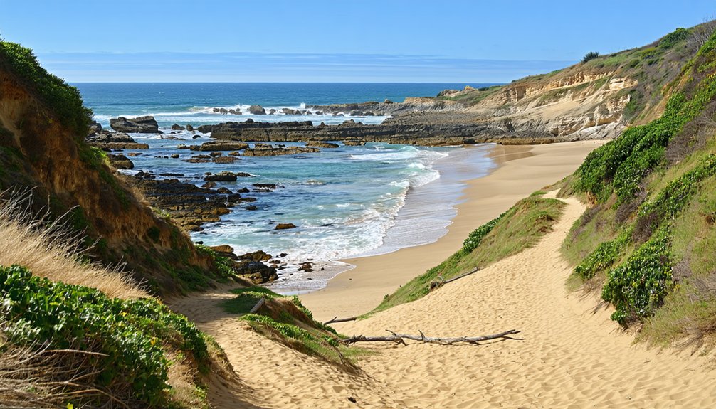 beach and trail features